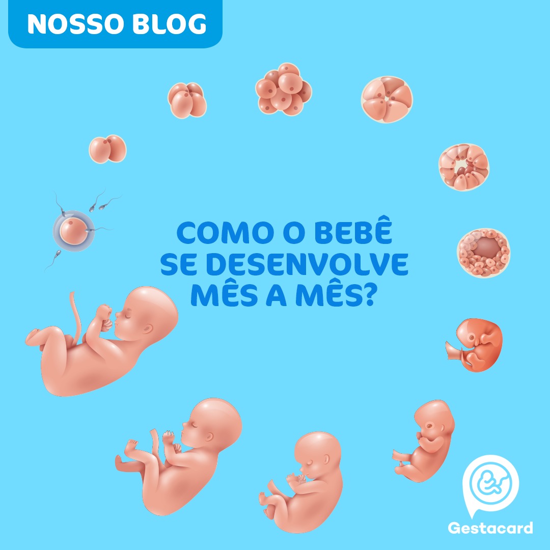 Qual o tamanho do seu bebê? - Blog - Gestacard